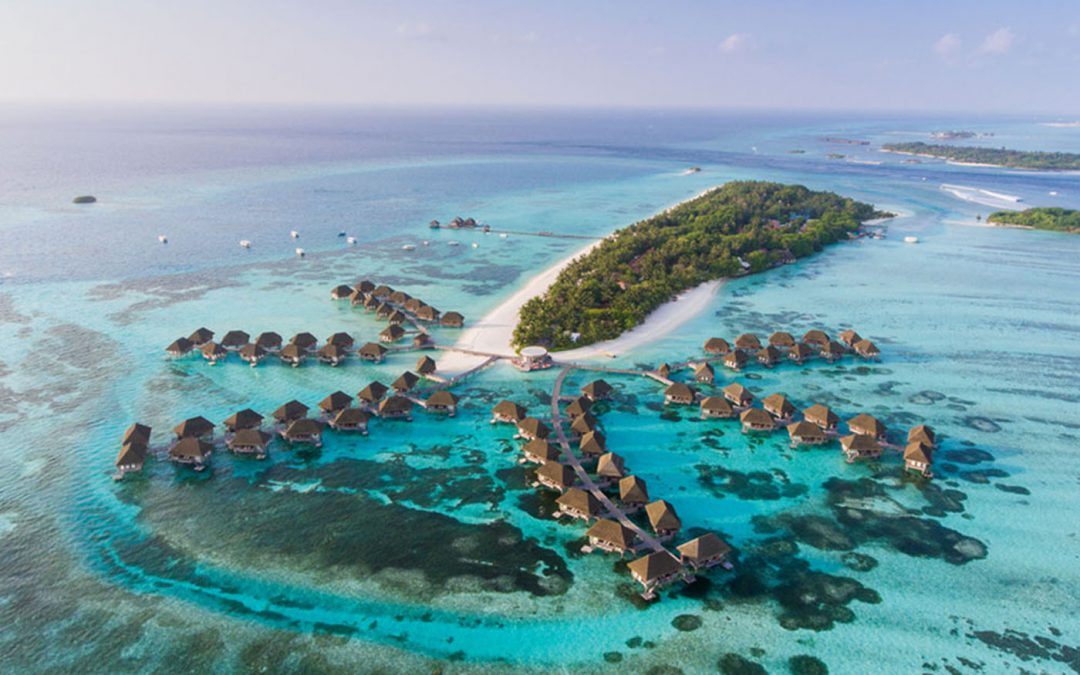 Dall’Africa Del Sud Verso Altre Destinazioni Paradisiache